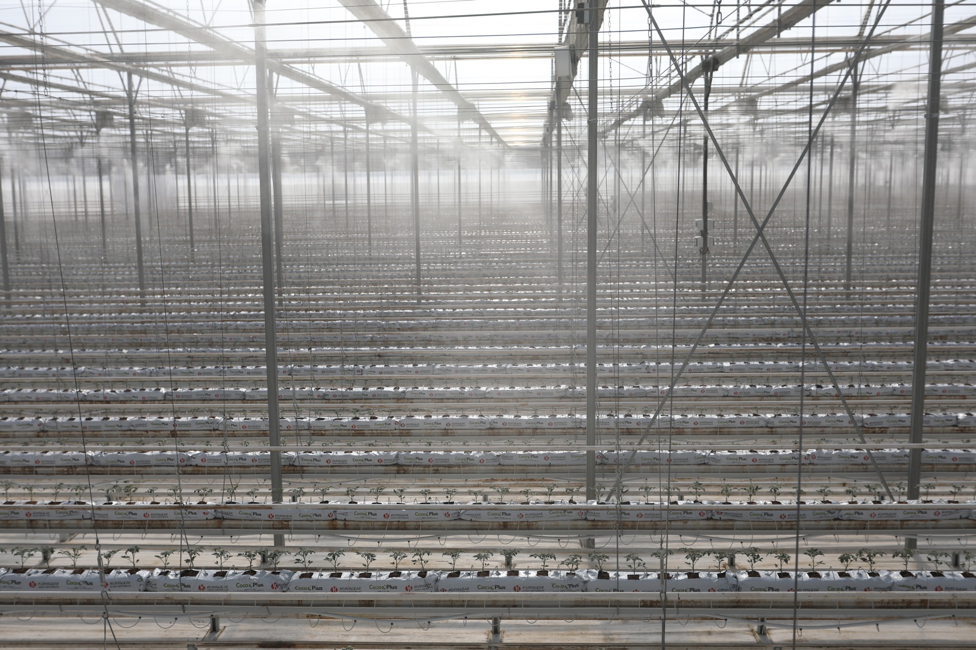 Sera Sisleme Sistemi